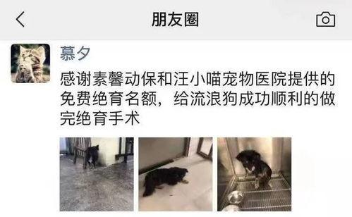 黑黑是什么意思流行词 校长的欲望,校长欲望下的流行词解码